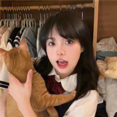 福到福到福宝见面会